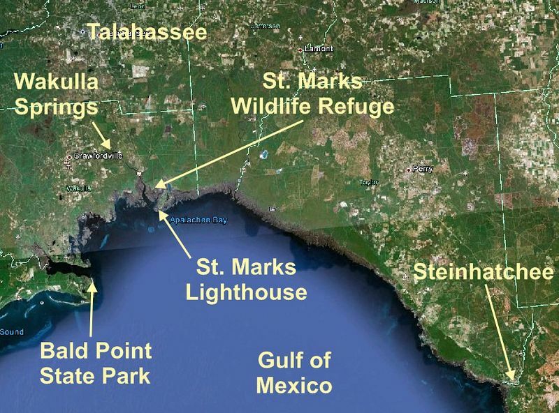 Click to See Next Image